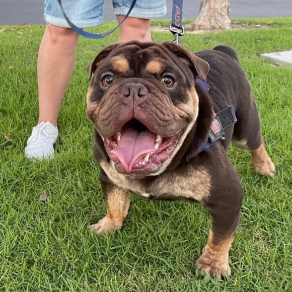 Meet your Posher, Heidi - Picture 3 of 7